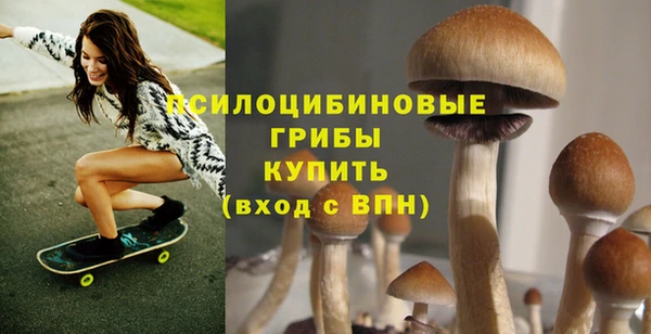 скорость Краснослободск