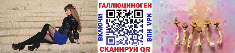 Галлюциногенные грибы Psilocybine cubensis  Дыгулыбгей 
